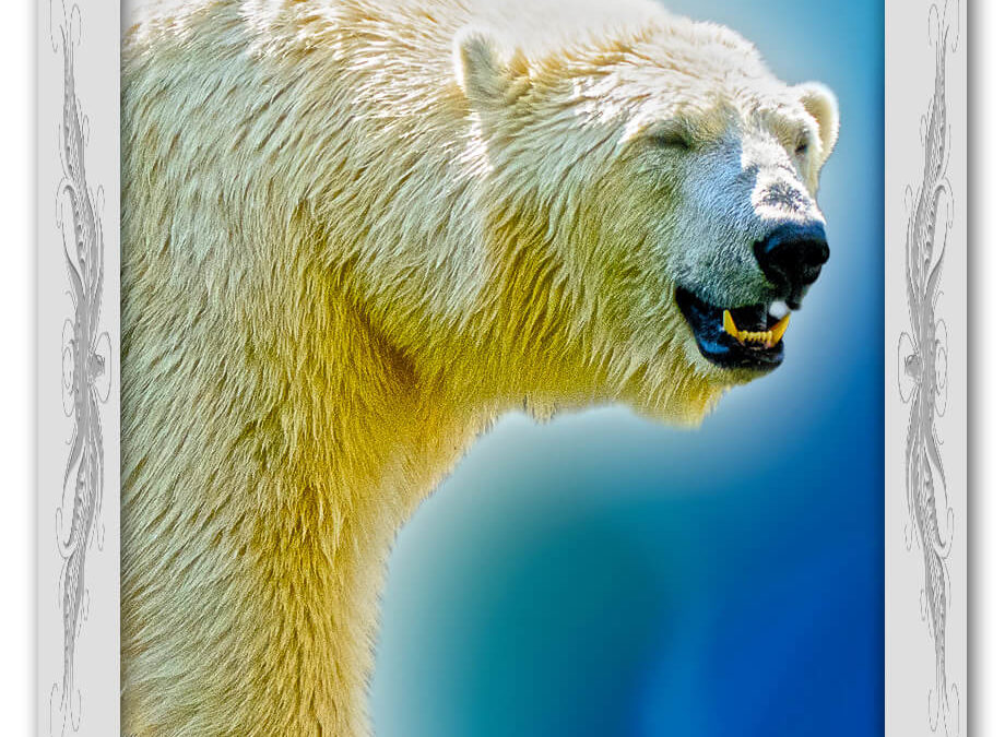 Krafttier Eisbär: Bedeutung & Eigenschaften