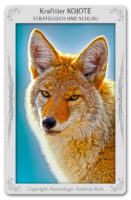 Krafttier Kojote: Bedeutung & Eigenschaften