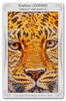 Krafttier Leopard: Bedeutung & Eigenschaften
