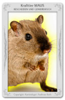 Krafttier Maus: Bedeutung & Eigenschaften