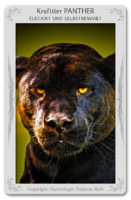 Krafttier Panther: Bedeutung & Eigenschaften