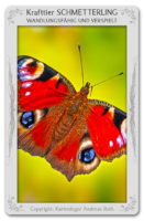 Krafttier Schmetterling: Bedeutung & Eigenschaften