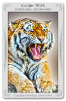 Krafttier Tiger: Bedeutung & Eigenschaften